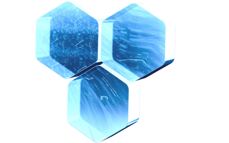 Treasure Network Team